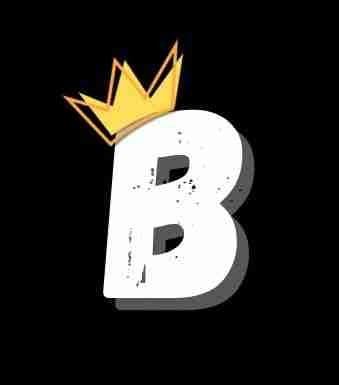 BonusHunters Logo
